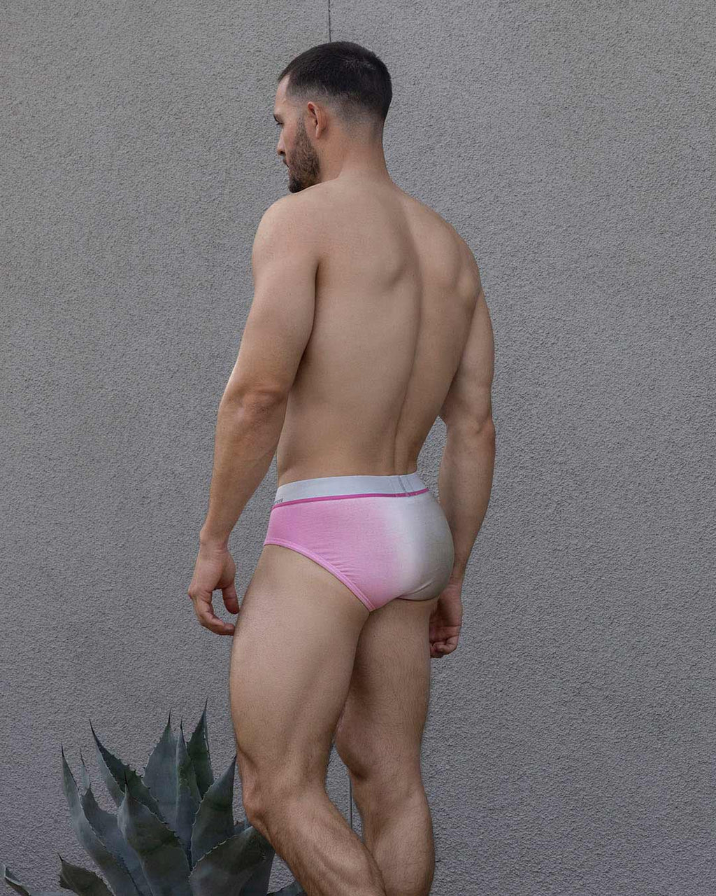 Dip Dye Low Rise Brief Peony Pink C-IN2 New York