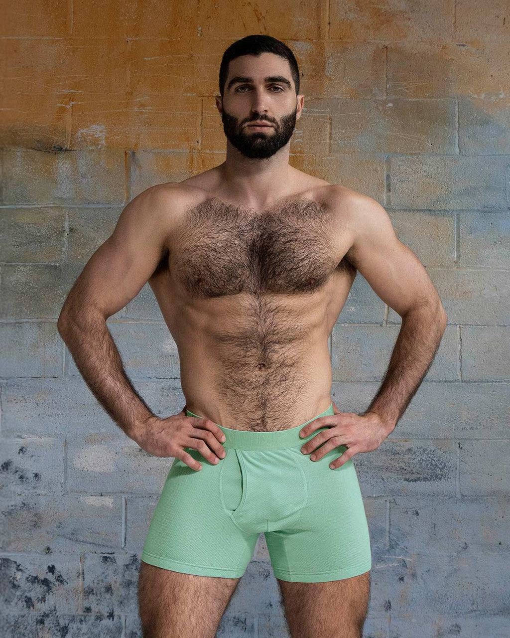 Flex Boxer Brief 5" Inseam Sage Green C-IN2 New York