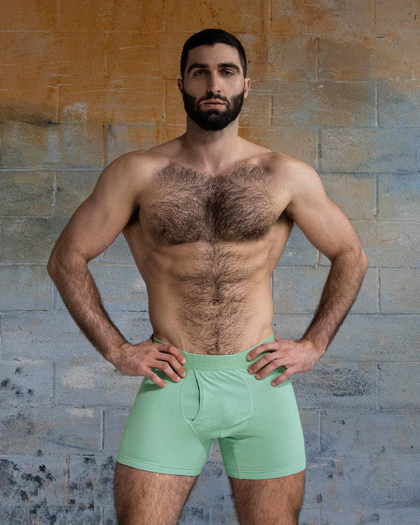 Flex Boxer Brief 5" Inseam Sage Green C-IN2 New York