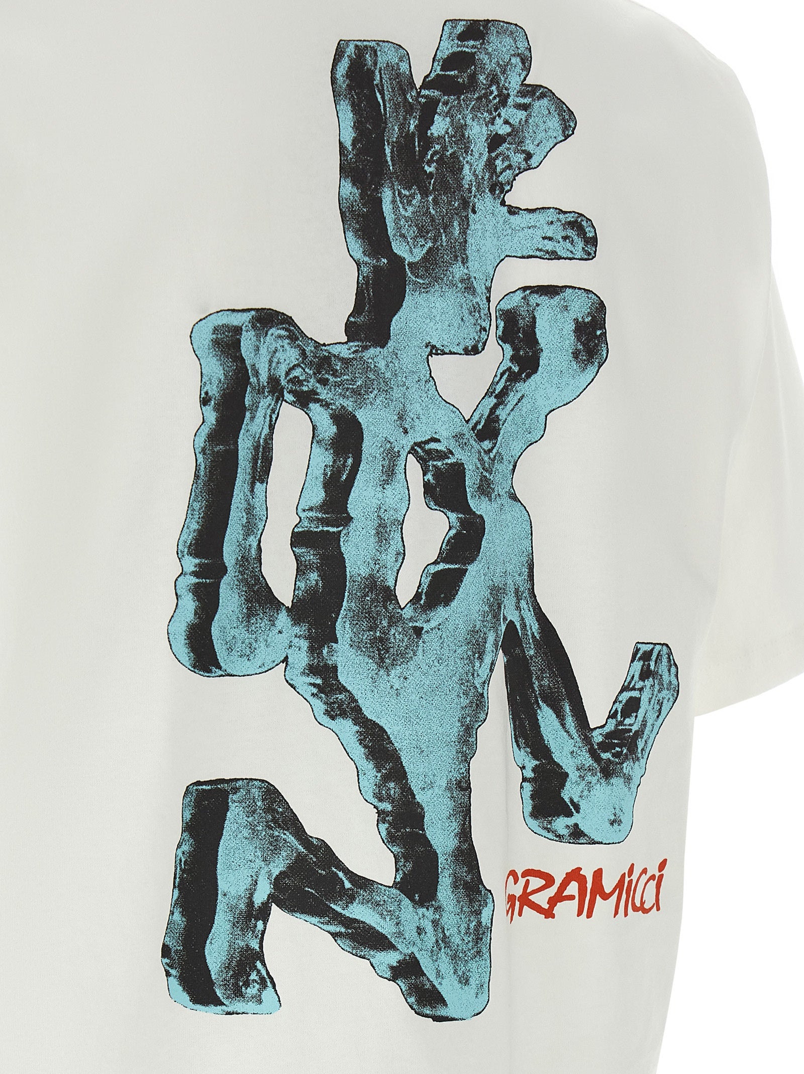 Gramicci Ice Sculpture T-Shirt — White Gramicci