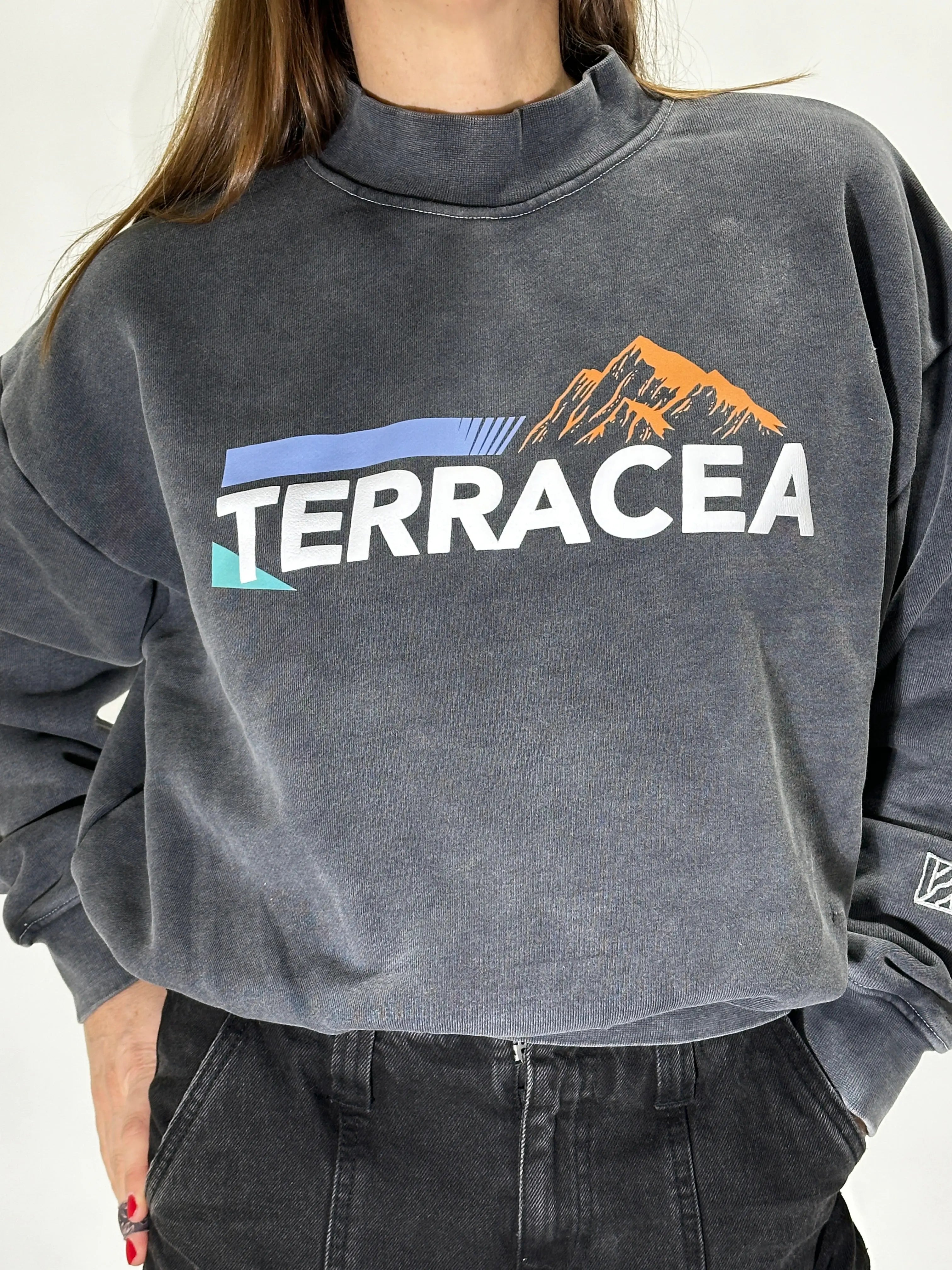 PUFF PRINT SWEATSHIRT Terracea