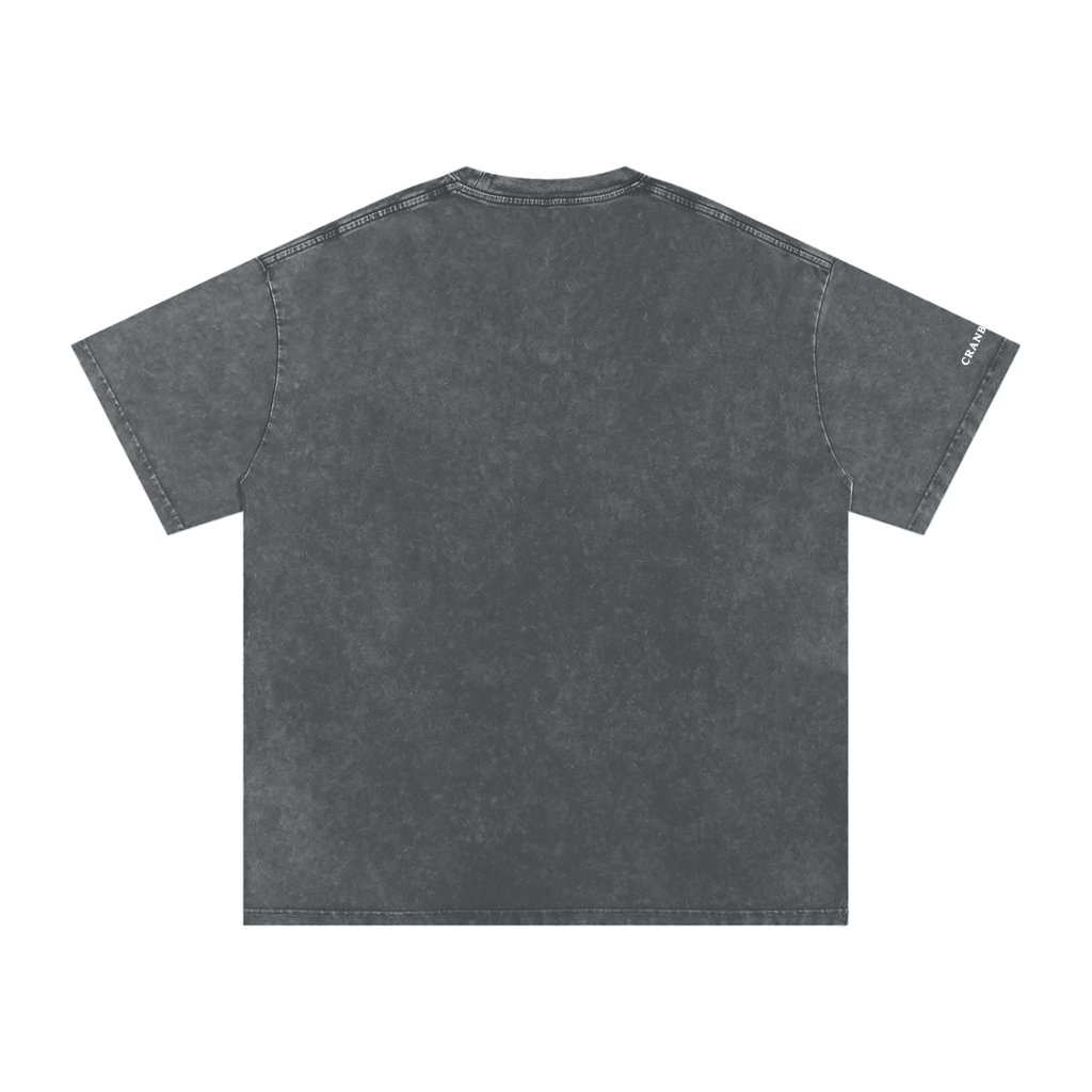 Cranberry's CBY BKN Brooklyn Water Tower Snow Washed Oversized Tee