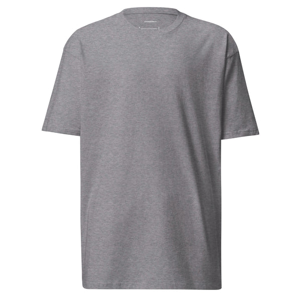 Cranberry's Basics heavyweight tee — carbon grey, structured everyday blank