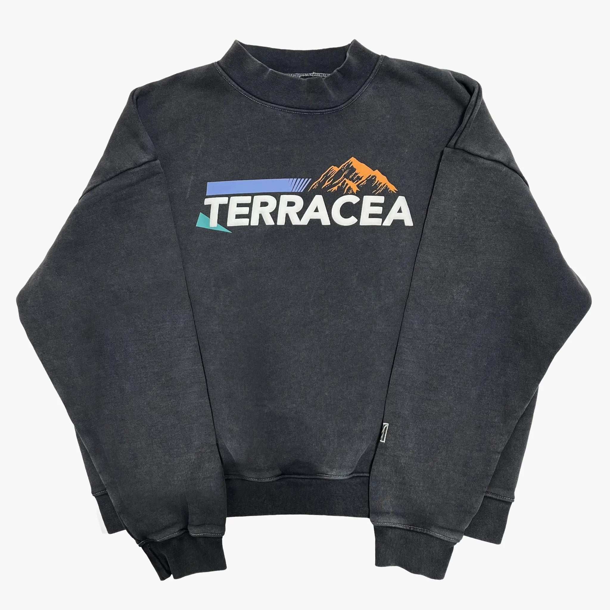PUFF PRINT SWEATSHIRT Terracea