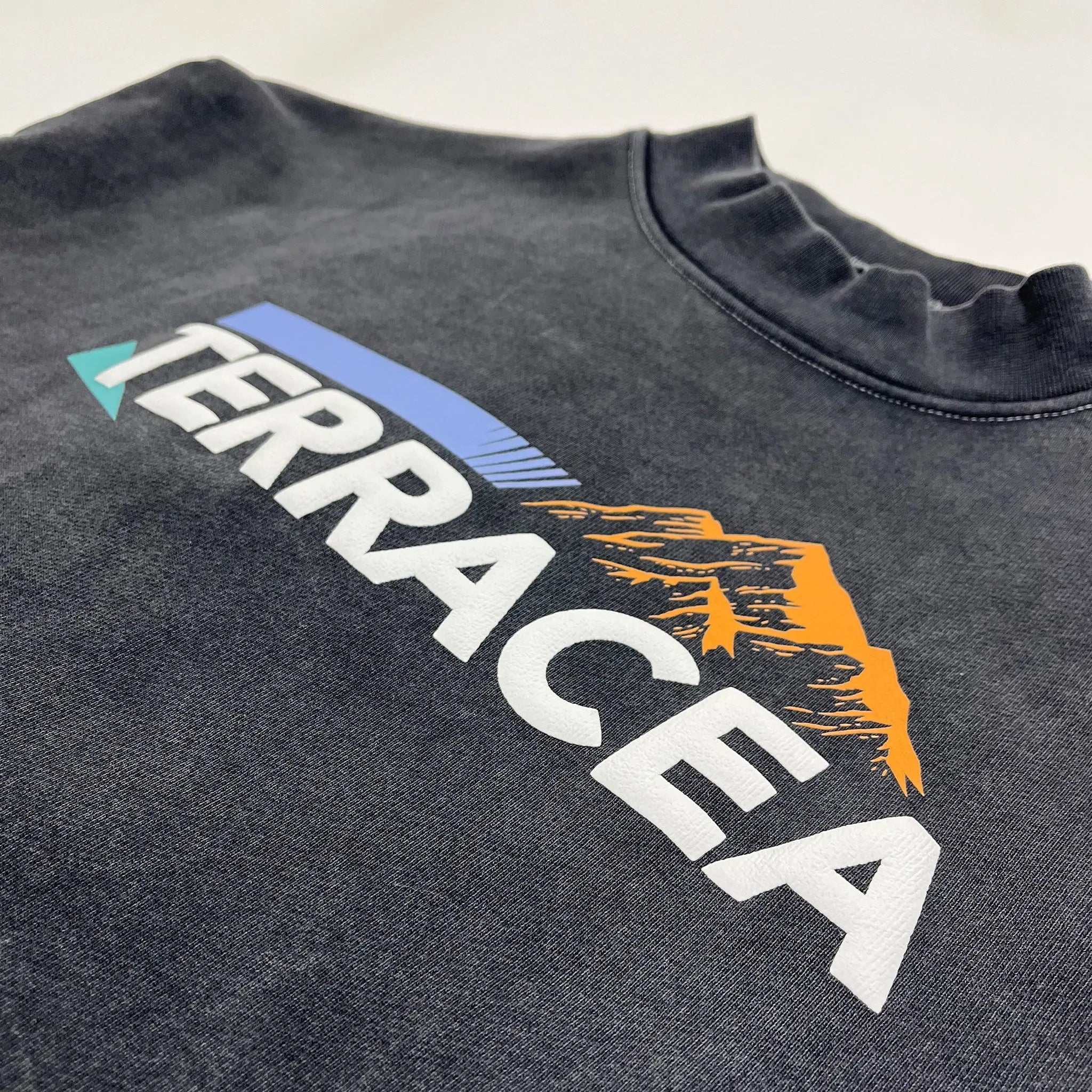 PUFF PRINT SWEATSHIRT Terracea