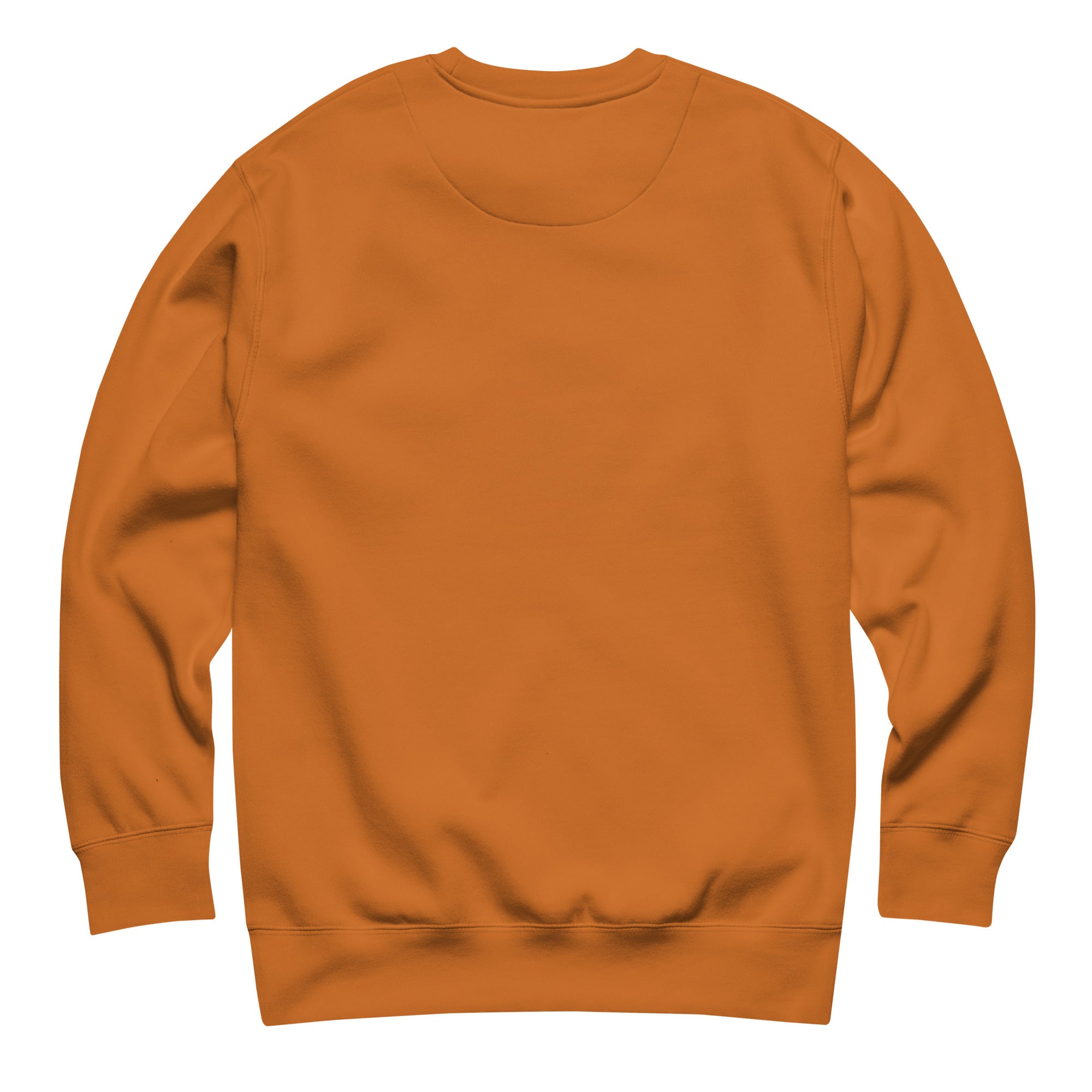 CBY CLE Guardian crewneck sweatshirt — adobe, back