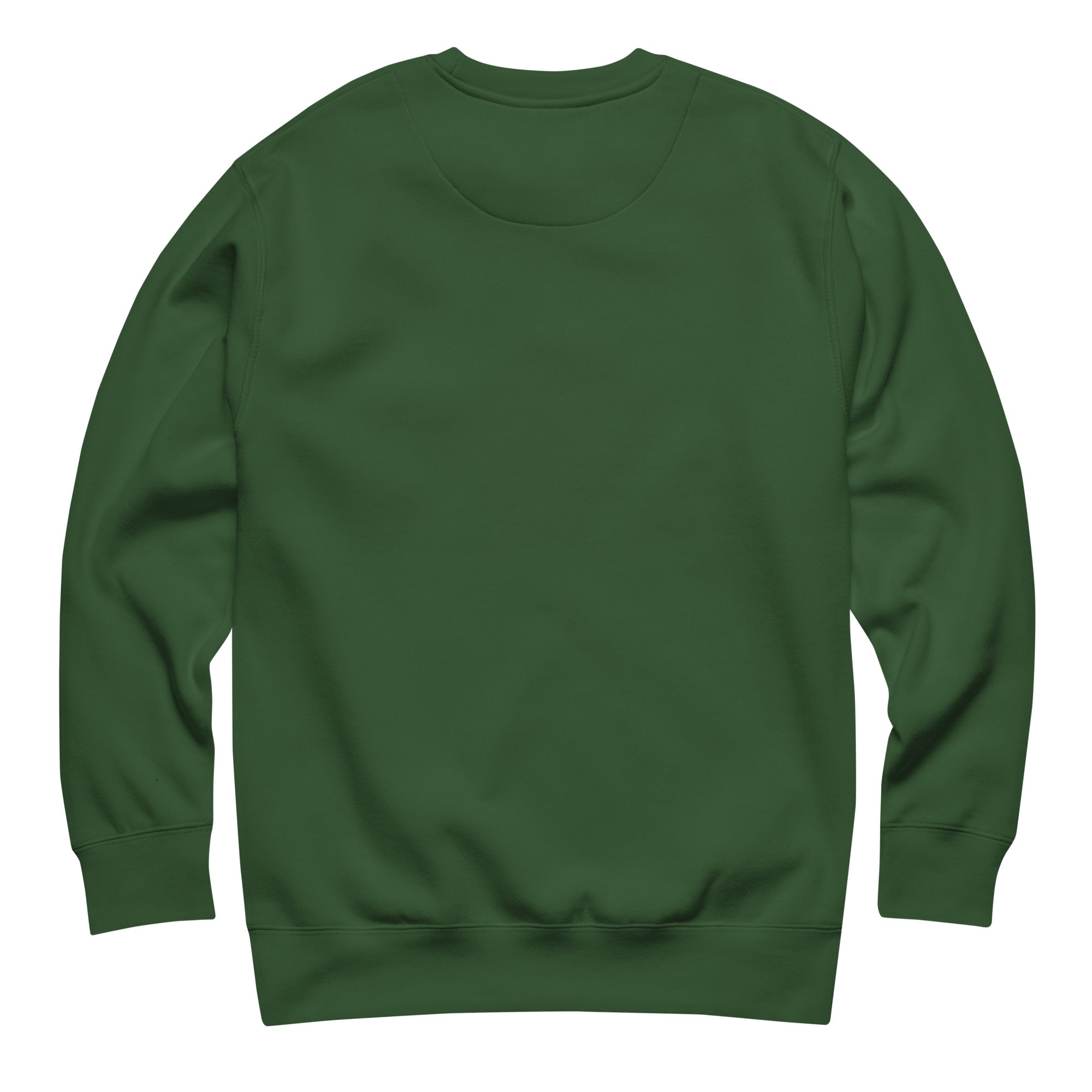 CBY BKN Graffiti Water Tower crewneck sweatshirt — forest green, back